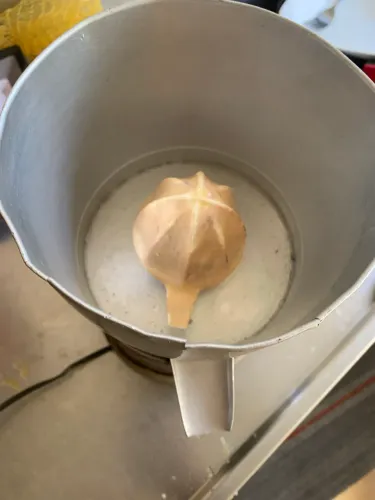 Espremedor de laranja profissional