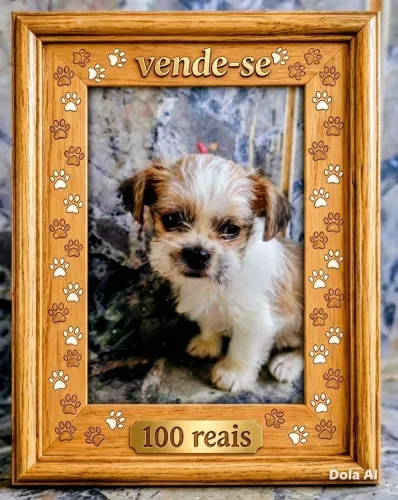Cachorro