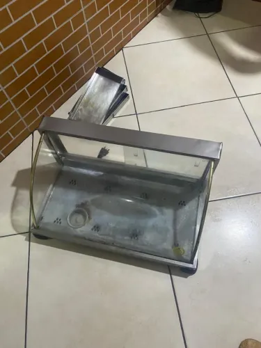 Estufa 4 bandeja