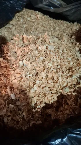 Cepilhos