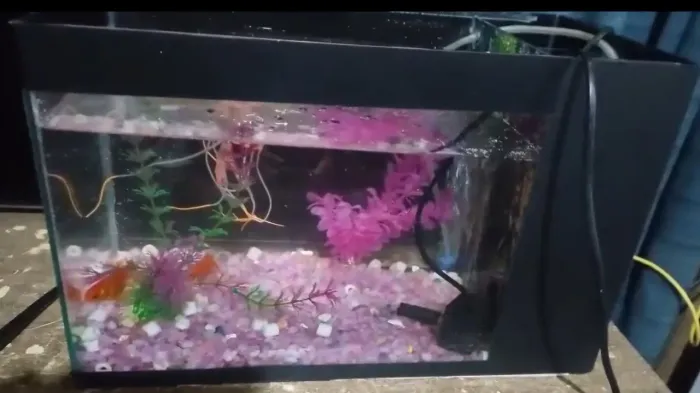 Vendo Aquário completo