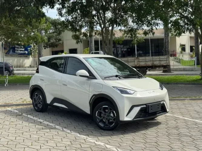 BYD Dolphin Mini (Elétrico) 2027