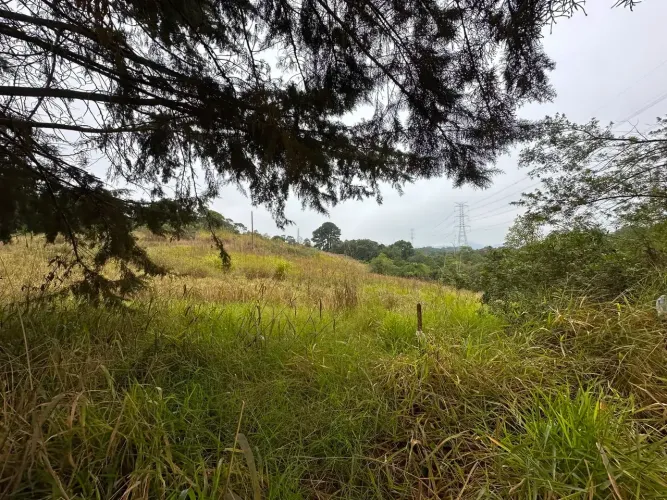 Chácara à Venda em Campo Magro 10.125 m²
