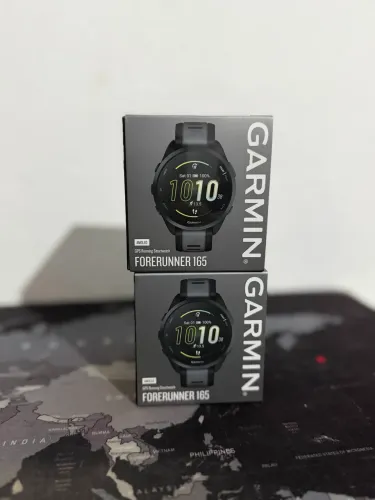 Garmin 165