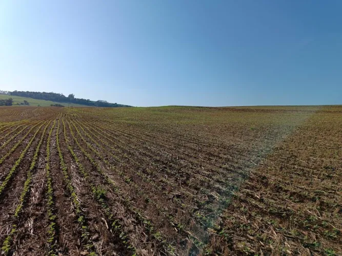 OPORTUNIDADE! 5 ALQ. DE TERRA ROXA PRÓX. A MARIALVA/PR - R$ 1,7M / ACEITA PERMUTA