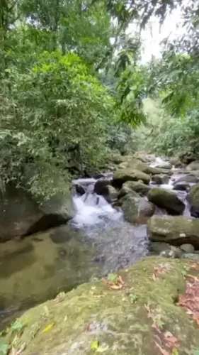 Lote/Terreno para venda com 7200 metros quadrados em Pico (Santo Aleixo) - Magé - Rio de J