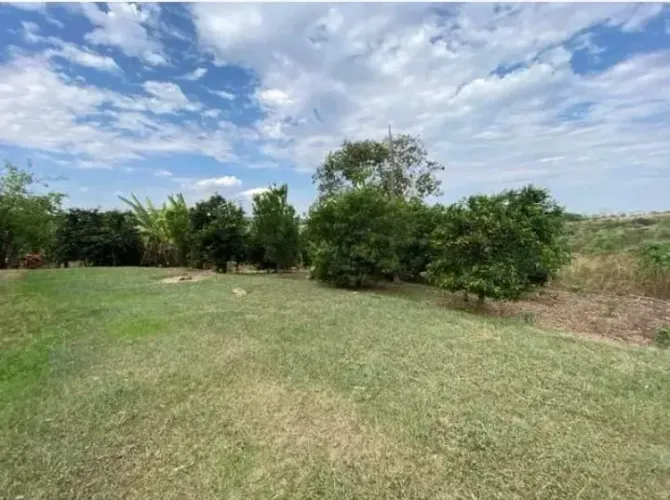 fazenda bela vista de goias