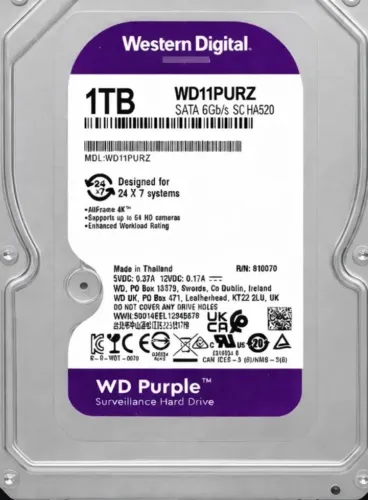 Hd Purple 1 tera