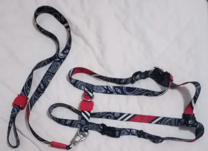 Conjunto de 2 peitorais anti-puxão + guias Zee.Dog