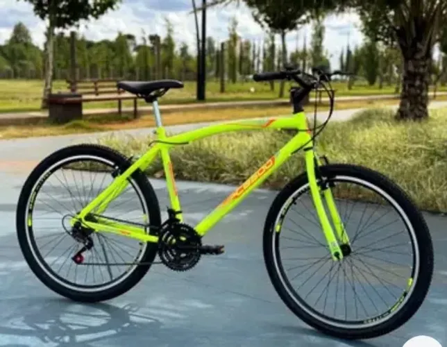 Bicicleta 