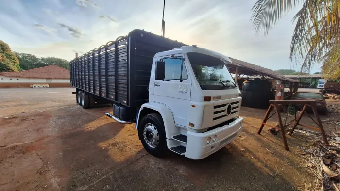 Volkswagen 24-220 worker euro 3 boiadeiro