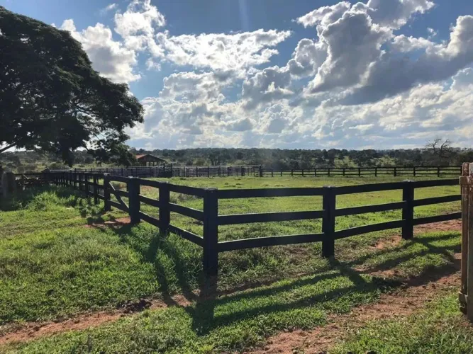 Fazenda à Venda 224 alqueires - Brasilândia - MS