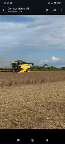 Fazenda 13.800hec no Xingú MT. Planta 6.000, aberta 7.200 plantando hoje 4.100hec