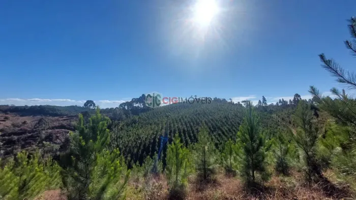 ÁREA com 1 dormitório à venda com 96800m² por R$ 950.000,00 no bairro Bom Retiro - BOCAIUV