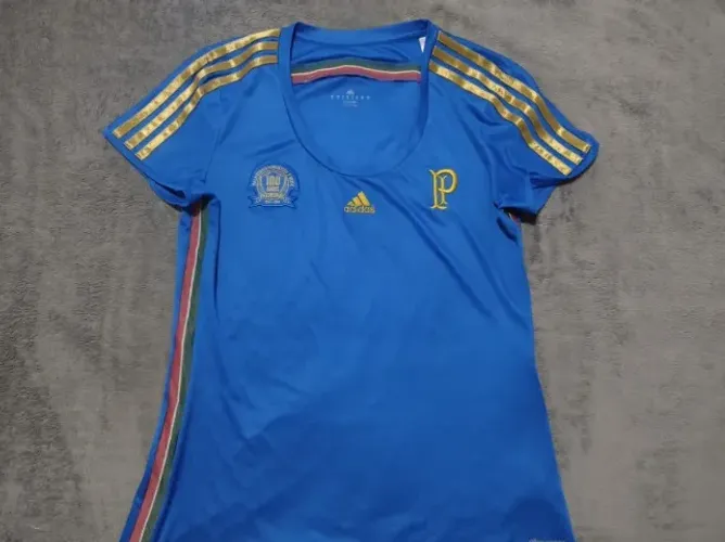 Camisa Oficial Palmeiras Adidas 2014 Feminina Centenário, #10, tamanho G (46x67cm).