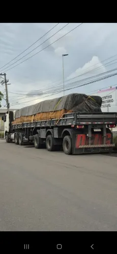 FH 460 2012 e carreta 1014 bloqueira e buboneira.