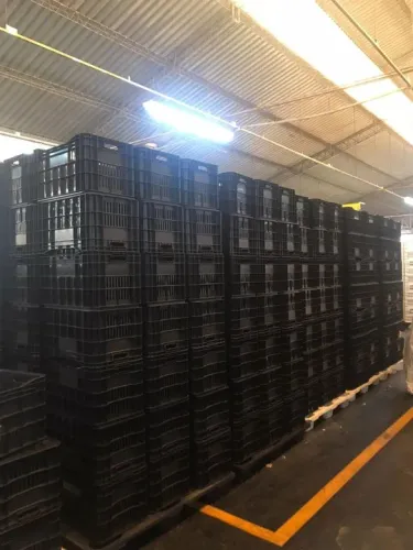 Caixas Plásticas Agrícola/Hortifruti Direto da Fabrica