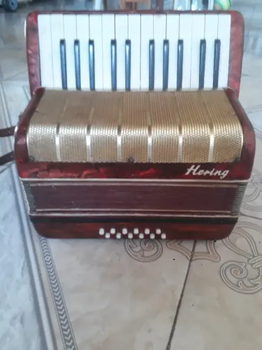Acordeon/Sanfona Hering 12 baixos