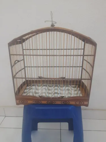 Gaiola abaulada machetada super conservada 