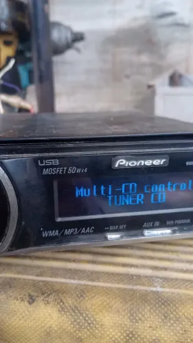 Pioneer golfinho