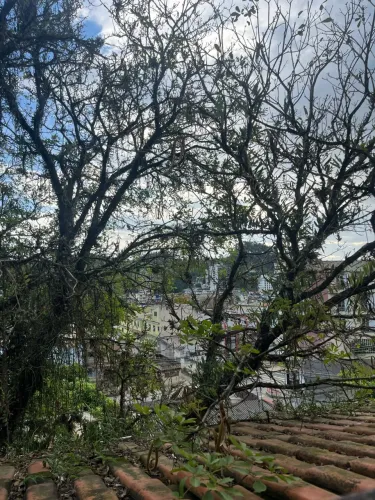 Aluga se casa no ano bom