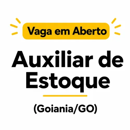 Auxiliar de Estoque