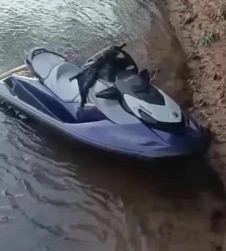 Jet ski carretinha embarcação nova