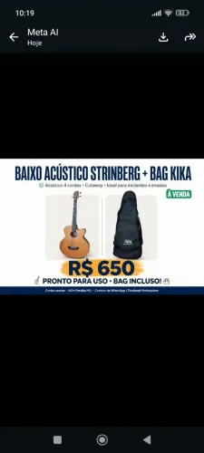Baixolão Strinberg 4 cordas