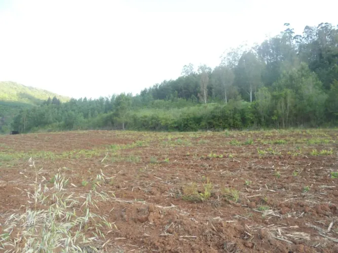 Área de terra á venda em Santa Maria do Herval Padre Eterno Baixo