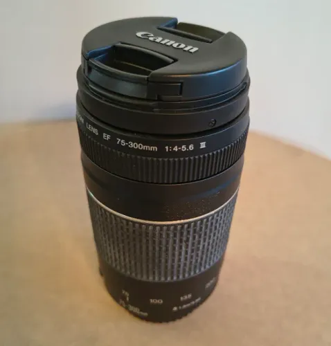 Canon EF 75-300mm f/4-5.6 III