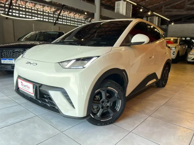 BYD Dolphin Mini (Elétrico) 2024