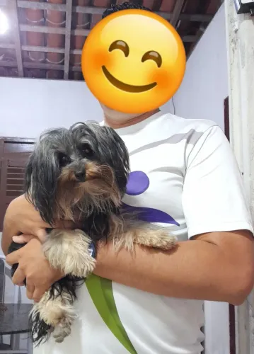 Vende-se