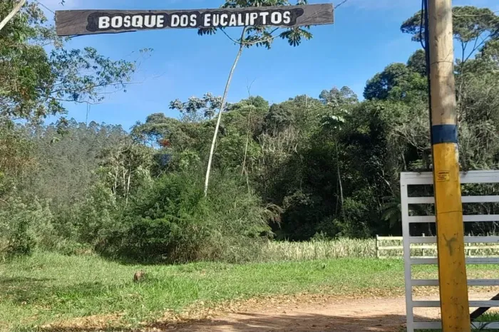 TERRENO À VENDA EWBANK DA CÂMARA 900 M²