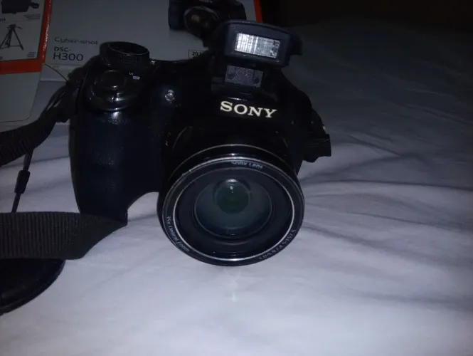 Dsc 300
