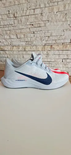 TÊNIS NIkE PEGASUS NÚMERO 43