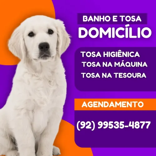 Banho e tosa em domicílio , agende já o do seu pet!