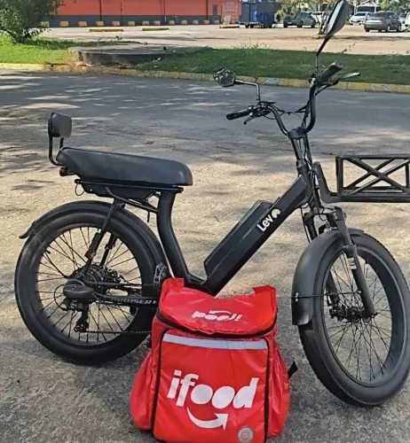 Vendo bike eletrica lev cruise + com 2 baterias 
