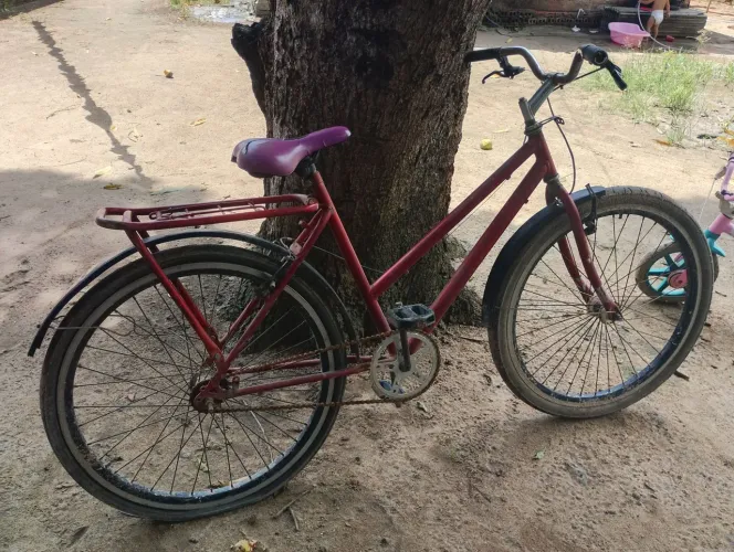 Bicicleta ar026