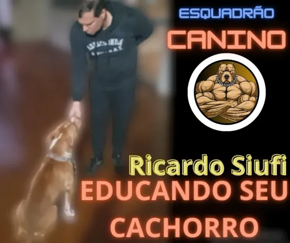 Adestramento 