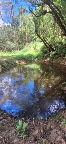 Oportunidade chácara 24 mil m² escriturada e registrada em Campina Grande do sul 