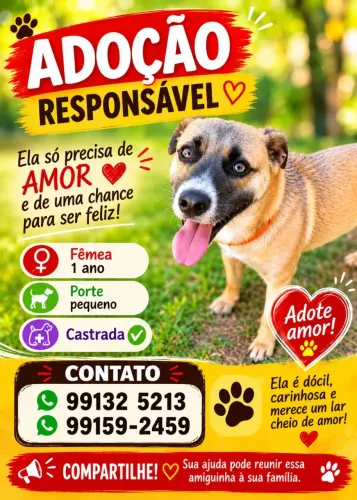 Adoção responsável