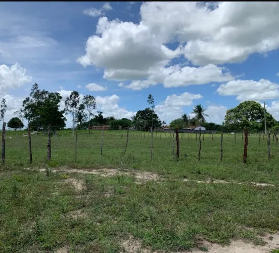 Vende-se lotes de chão de casa 