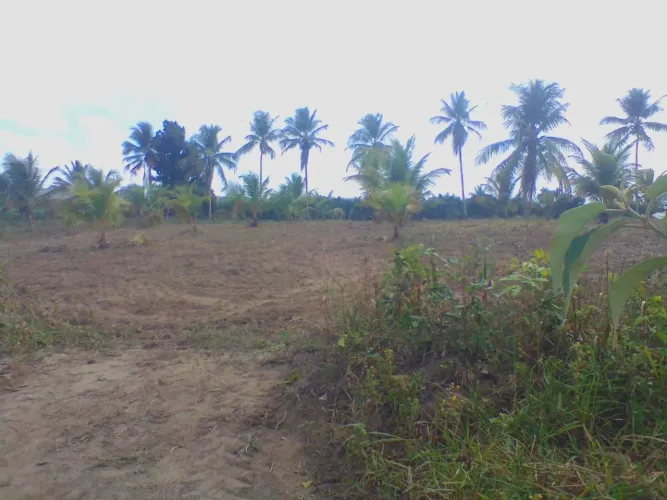 Térreo de 787,5 m²