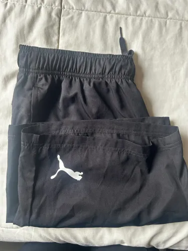 Short puma