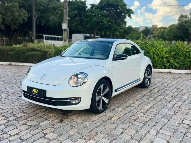 Volkswagen Fusca 2.0 TSI 16V Aut. 2014