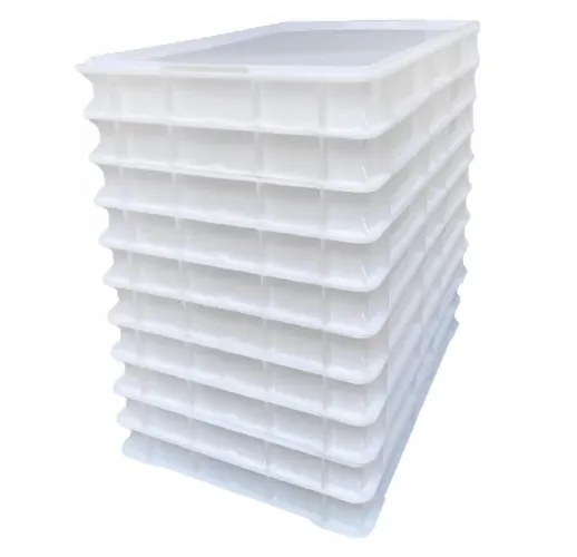 Kit com 10 caixas de fermentação