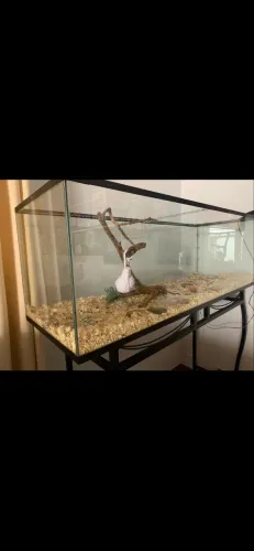 Casinha para animais