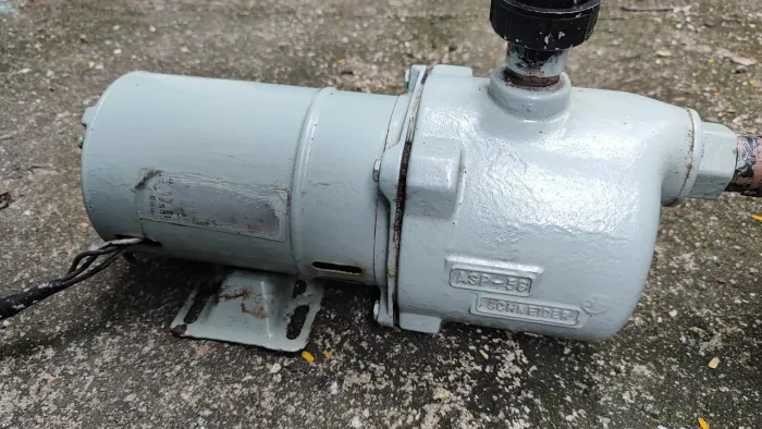 BOMBA Autoaspirante Schneider 110/220V