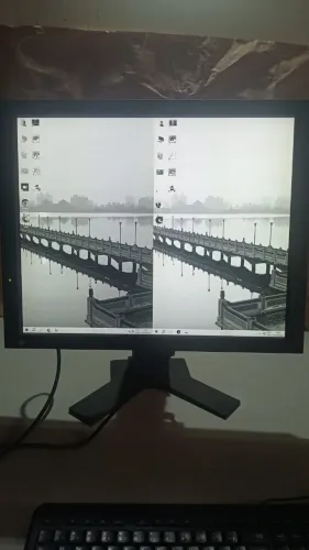 Monitor Profissional EIZO RadiForce GS510 21,3? 5MP