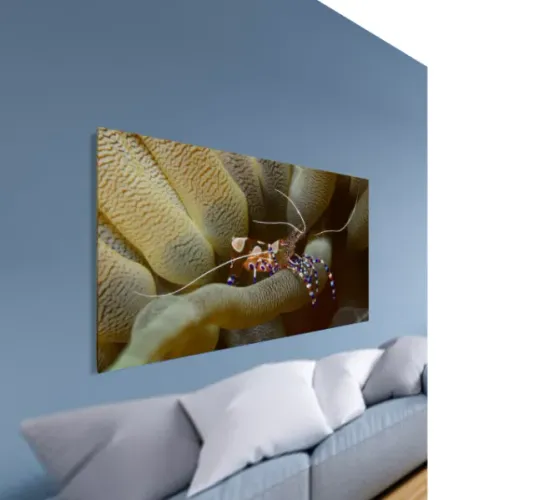 Quadro com Fotografia da Natureza (tamanho 50 x 70cm em tela canvas)